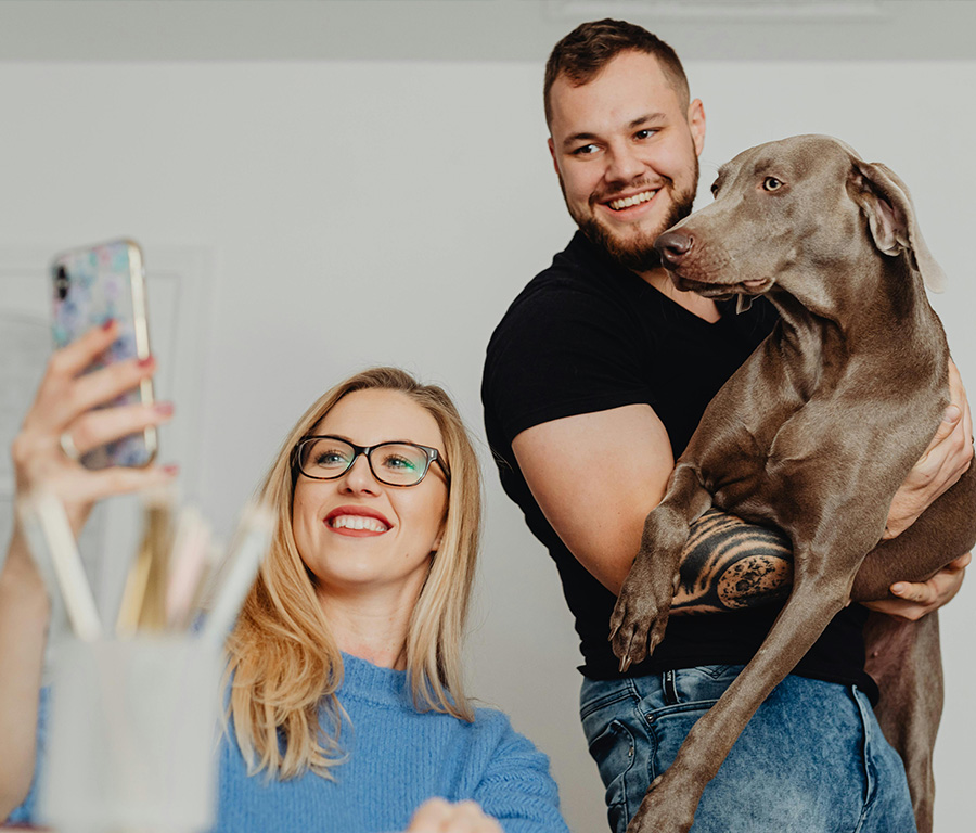 Virtual Pet Care